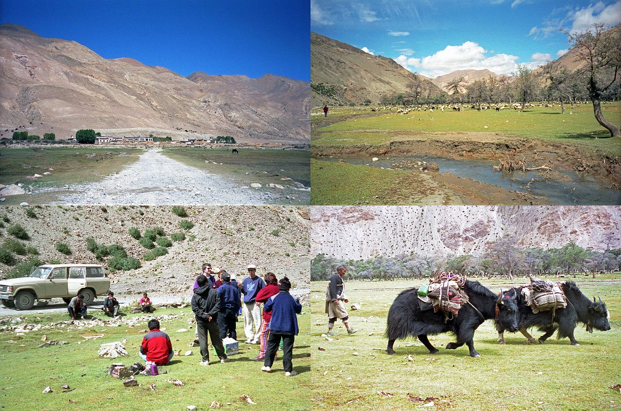 5 3 Leaving Peruche On Way to Kharta, Lunch, Old Tibetan Man With His Yaks